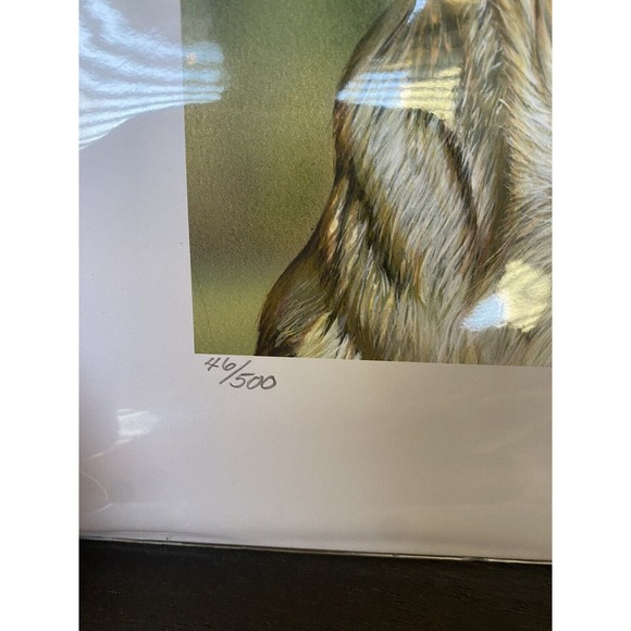 New Art Painting Print yellow lab Dog Puppy Danny O’Driscoll 2008 46/500 11x114 - Picture 5 of 6